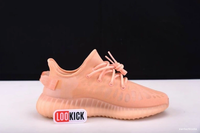 Yeezy Boost GW2870 